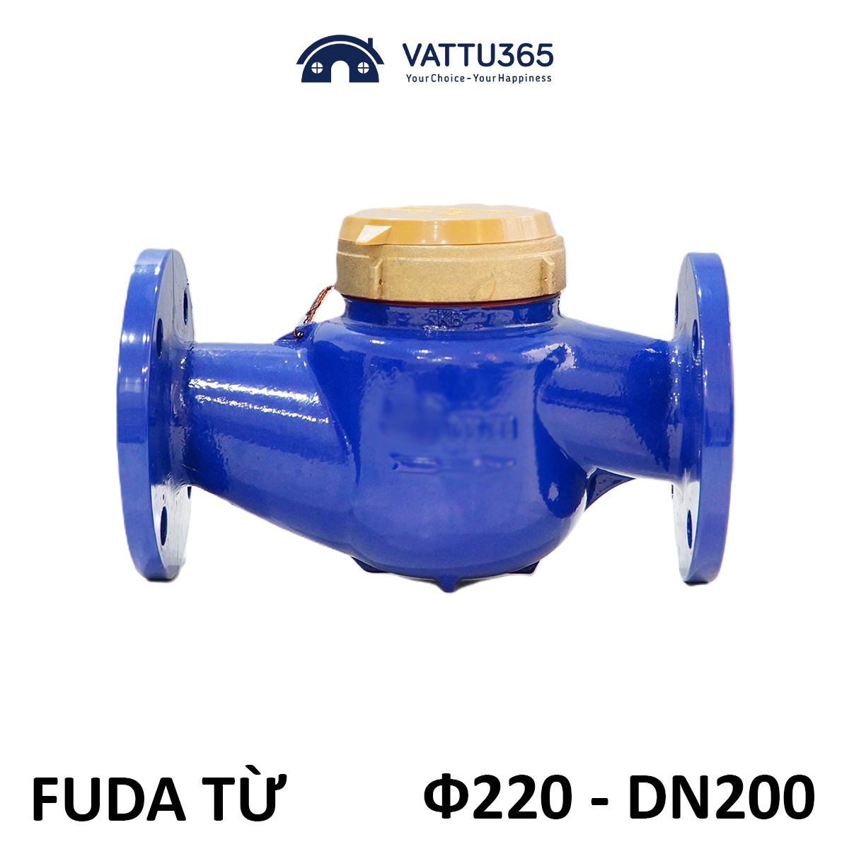Đồng hồ nước từ Fuda Phi 220 – DN200 | Hàng chính Hãng